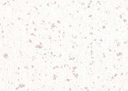 Pastel-Coffee 