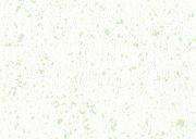 Pastel-Green 